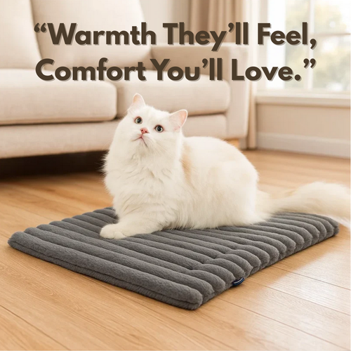 Self-heating Pet Bed